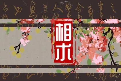 祖业痣是什么意思 额头有痣为祖业之痣可福禄一生 祖业痣是什么意思 额头有痣为祖业之痣可福禄一生