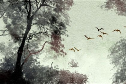 周易算命财运方位 如何通过八字判断财运方位 周易算命财运方位 如何通过八字判断财运方位