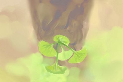 梅花易数怎么解卦 梅花易数如何读卦 梅花易数怎么解卦 梅花易数如何读卦