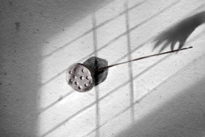 免费姻缘配对算命超准 八字看命中注定的对象 免费姻缘配对算命超准 八字看命中注定的对象