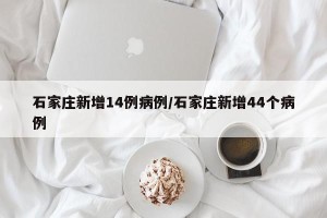 石家庄新增14例病例/石家庄新增44个病例