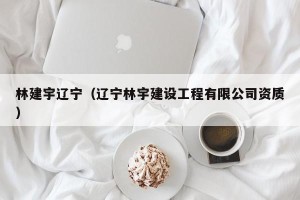 林建宇辽宁（辽宁林宇建设工程有限公司资质）